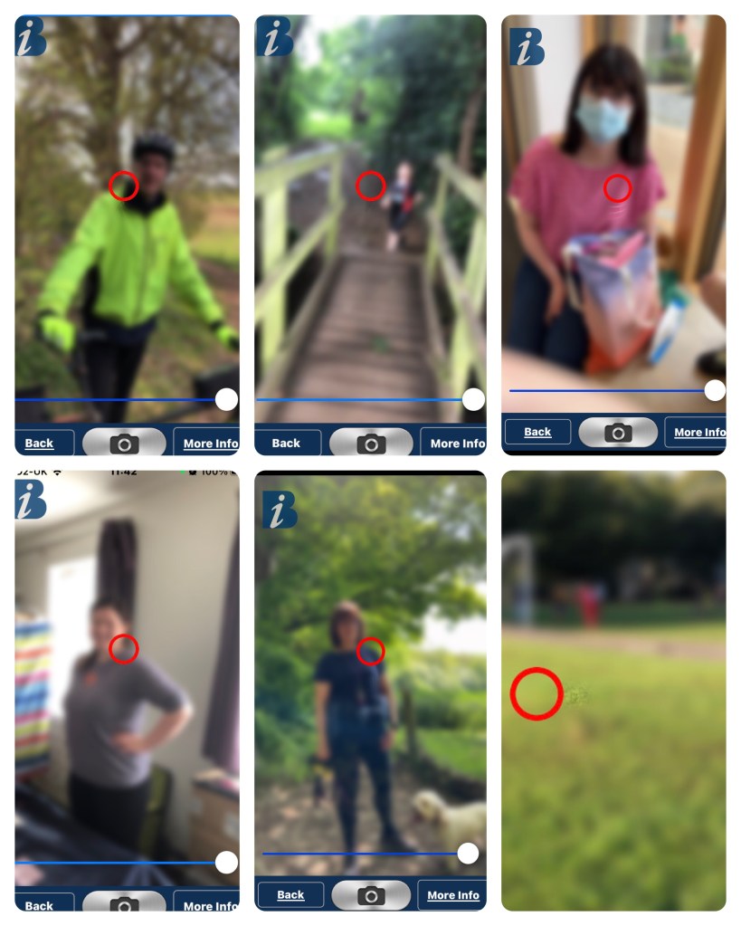 Full description combined in caption and text below.