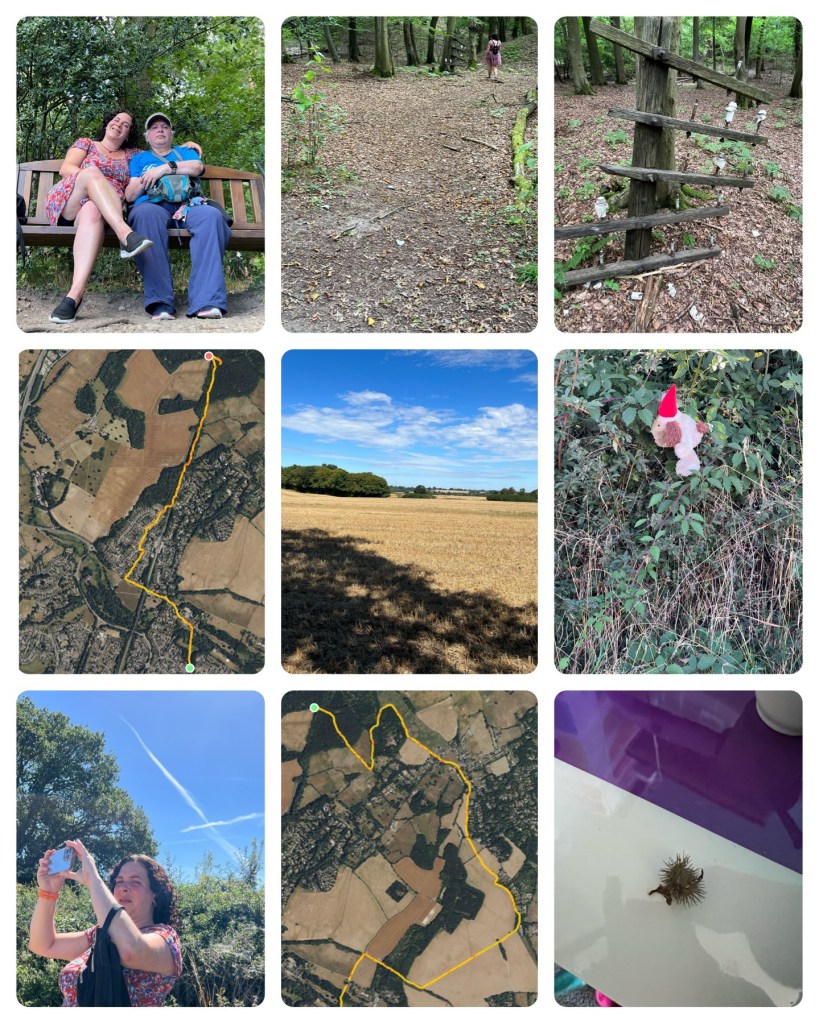 Collage of 9 photos 
Top left my daughter and I sitting on the bench. She’s wearing a short flowery summer dress with her arm around my shoulders. She’s smiling I’m looking quite serious as I took the photo with my Apple Watch’s camera remote app.
Top middle my daughter looking at the mysterious object.
Top right a photo of what turned out to be an overhead wires array (5 wooden arms with metal bolts some still with the ceramic cowling covering the bolt).
Middle left satellite map with our outward route traced upon it.
Centre the view across the field on our mystery tour. Shadow from the tall hedgerow and trees behind us , then golden stubble with dark green copses and hedgerows to the horizon. The sky is a stunning blue with some low white cloud reaching down to the horizon.
Middle right my daughter thought the cuddly tot was a dog with a Santa hat it’s sat among the brambles.
Bottom left my daughter taking a photo of the view, her small backpack on her arm. Behind her is a tree and hedge with an angel’s kiss cloud (an X) behind her.
Bottom middle our homeward route on the satellite view of the map looks like a rough outline sketch of the head of a Scottie dog with 1.5 ears.
Bottom right a small spherical burr on a chair seat after being removed from my shoelace.
