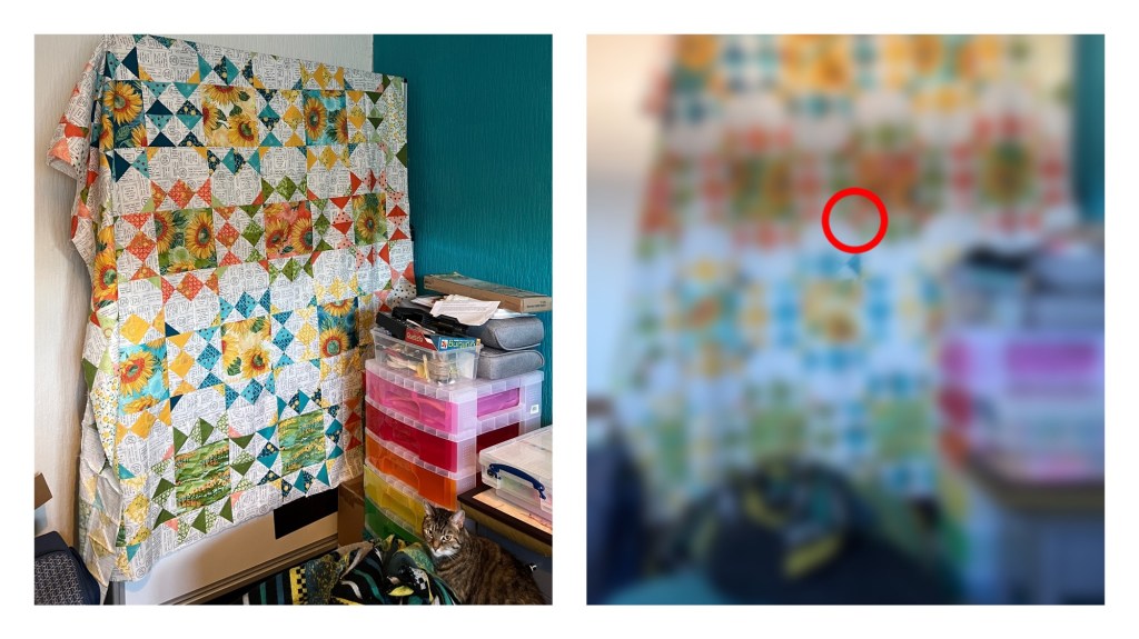 The image is split into two sections. On the left side, there is a clear photo of a colorful quilt hanging on a wall. The quilt features a pattern of squares and triangles with various colors, including blue, green, yellow, orange, and white, with some floral designs, particularly sunflowers. Below the quilt, there are several stacked plastic storage drawers in different colors, and a cat is sitting in front of them, looking at the camera. The wall behind the quilt is painted teal.
On the right side, the same scene is shown but heavily blurred, with a red circle marking the centre of the screenshot from an app called VisionSim. The details are not visible due to the blur, but the general colors and shapes of the quilt can still be discerned.