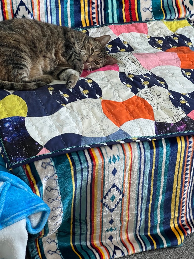 Willow a grey tabby cat is lying on a colourful apple core quilt. The fabric in the quilt features a variety of patterns, including circular designs with colours like navy blue, orange, pink, and yellow, as well as some sections with a script-like design. The quilt is placed on a sofa with a vibrant, striped blanket underneath. The blanket has a pattern with stripes in blue, red, yellow, and white, and includes geometric shapes. Willow is resting comfortably, looking relaxed. She obviously approves of her new quilt.