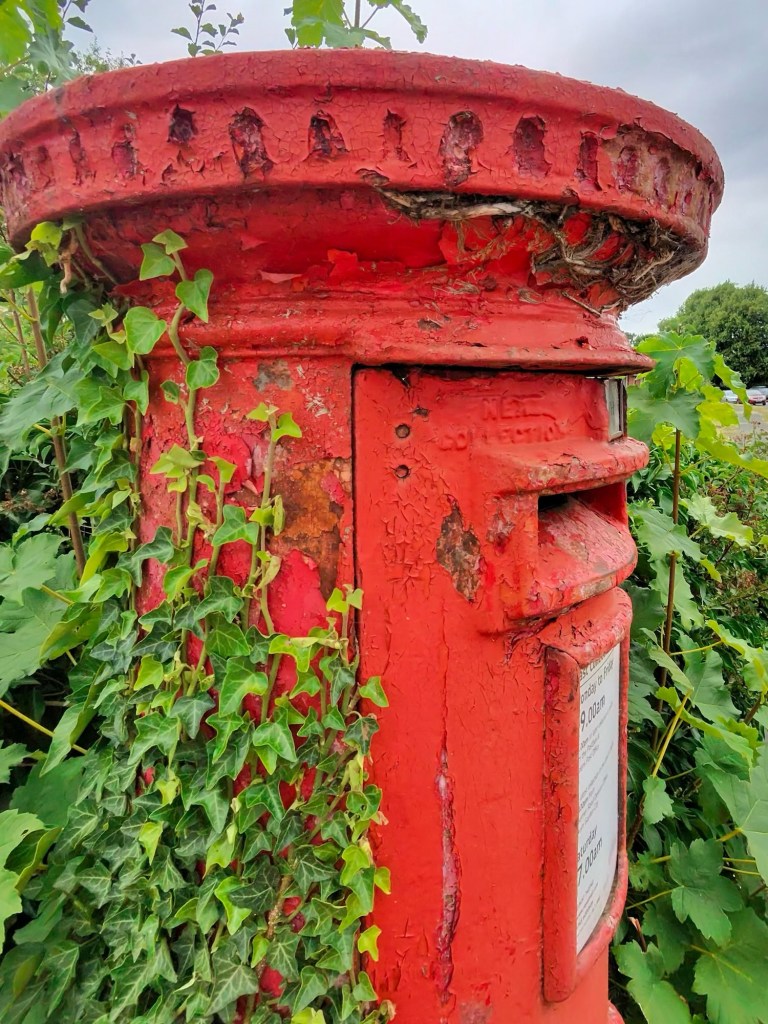 Old red postbox covered in ivy including some dead stems just under the overhang of its top. The paint on the postbox is chipped and peeling, revealing rust and signs of age. Green ivy climbs up the left side, blending with surrounding leafy plants. The postbox has a slot for mail and a notice panel, and the sky above is overcast.