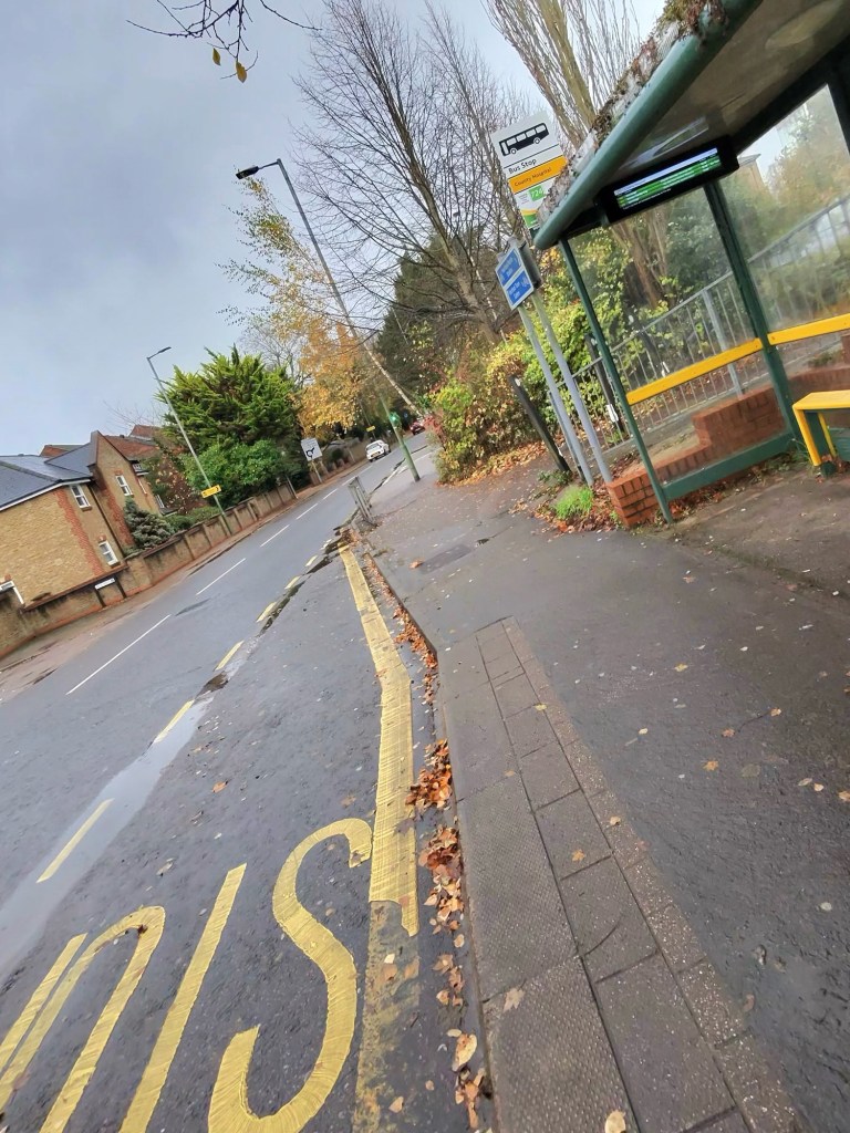 A bus stop on a quiet suburban street. The bus shelter has a bench inside, and there are signs above it with bus information. The street is wet, possibly from recent rain, and fallen leaves are scattered on the pavement and road. Yellow road markings spell out “STOP” next to the bus stop. Trees with some autumn-coloured leaves line the road, and there are houses with brick walls on the left side. The sky is overcast, giving the scene a grey and gloomy appearance.
